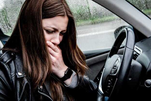 Evaluating Solutions for Reducing Brake Noise