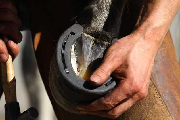 Executing the Brake Bleeding Process Safely and Accurately