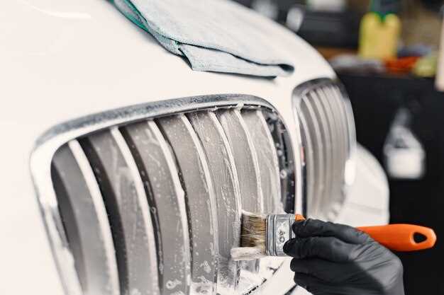 Choosing the Right Products for Paint Restoration